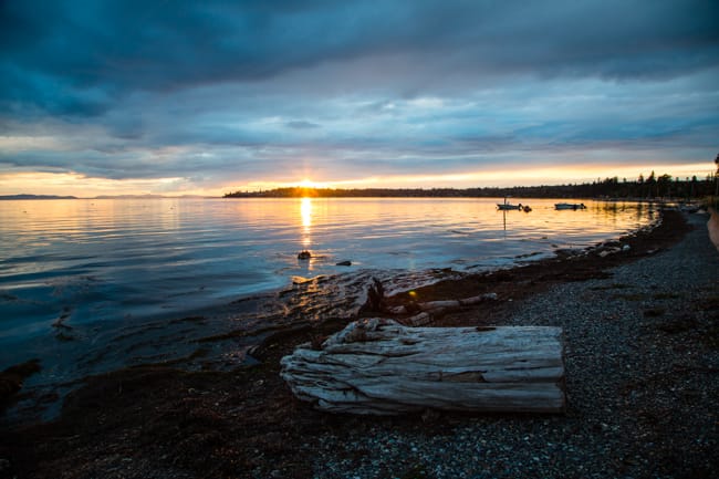 Unplanned Encounters and Spontaneous Adventures in Birch Bay