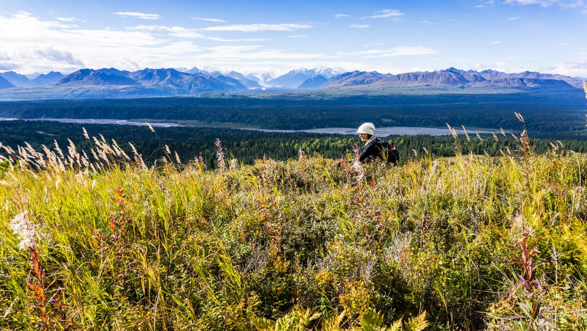 Denali State Park – It’s all about Expectations