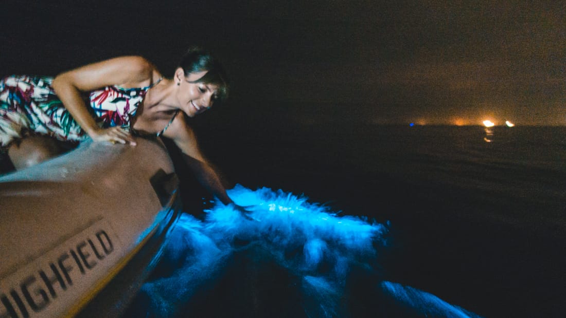 Most Intense Bioluminescence Ever & A 42 Hour Bus Trip