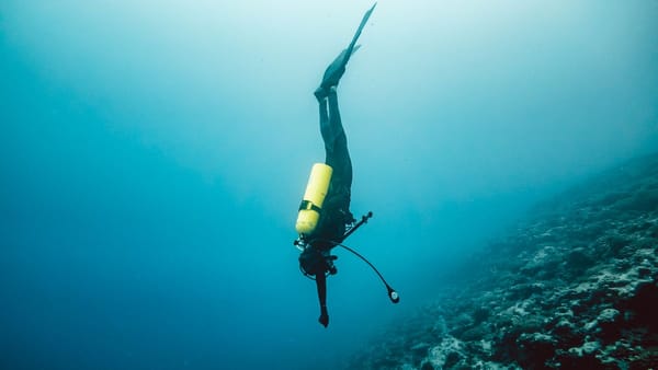 Floating Dive Shop - Freediving, Scuba, Snorkel