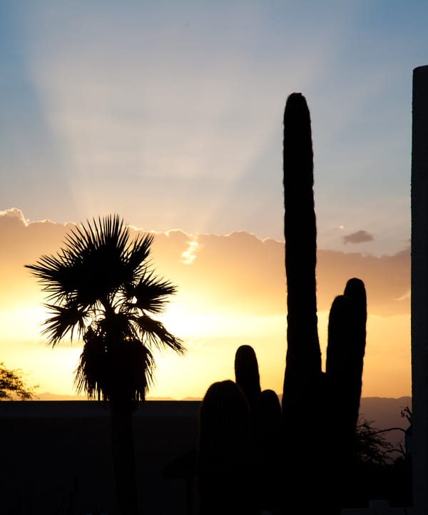 This Is The Place: Lake Havasu, Arizona