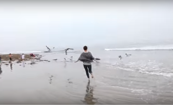 San Elijo State Beach, California