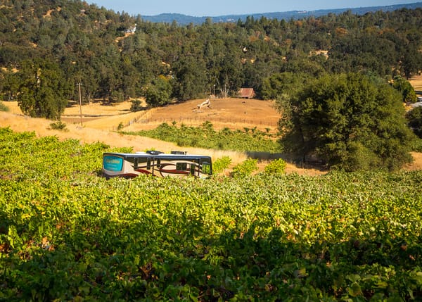 Ditch the Parking Lots for Farms & Wineries