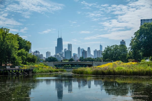 Bike Chicago Part 3 – Gorillas, Butterflies and Beaches