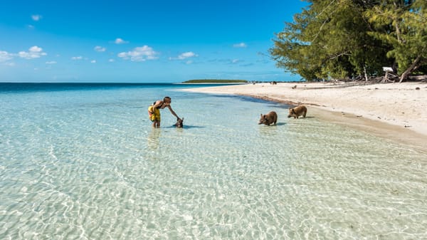 Piggyville & The Whale – Sailing The Abaco Out Islands