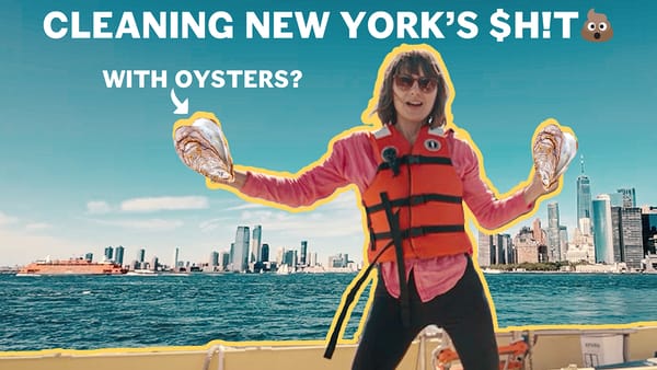 nikki wynn in NYC with billion oyster project