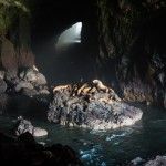 sea lion caves Florence oregon