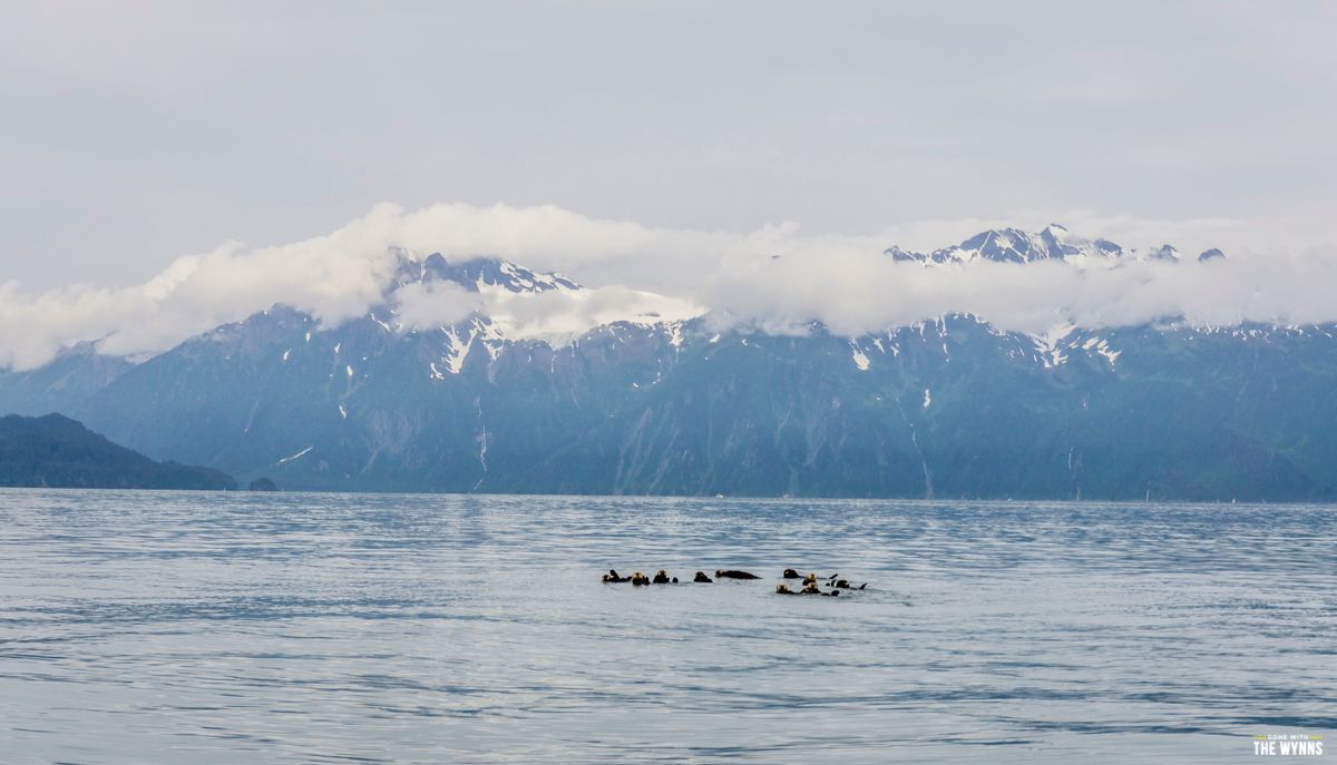 Fishing Valdez Alaska