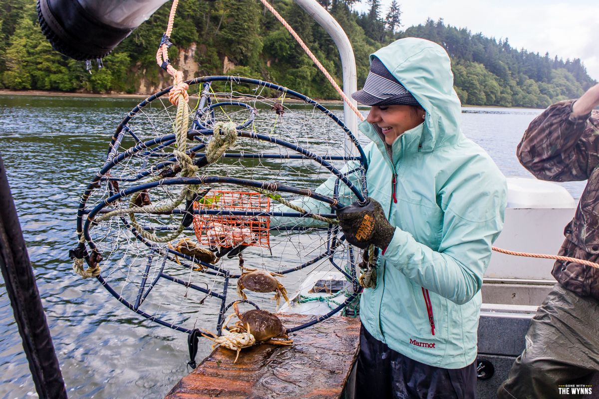 Dungeness crab in Oregon