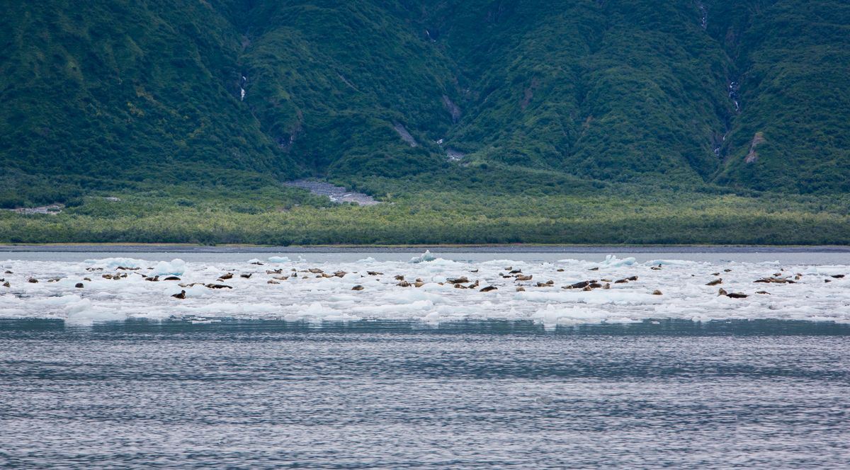sightseeing alaska by water