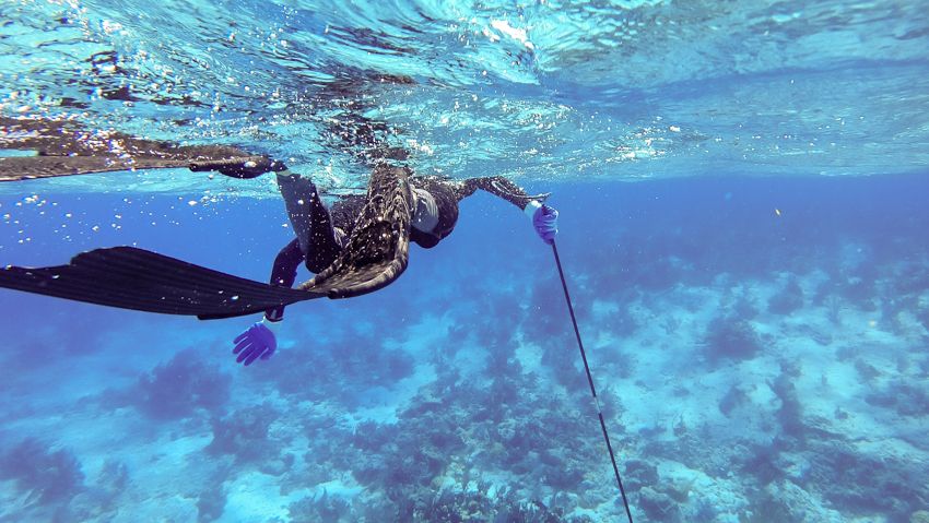 diving and sailing the jumento islands bahamas