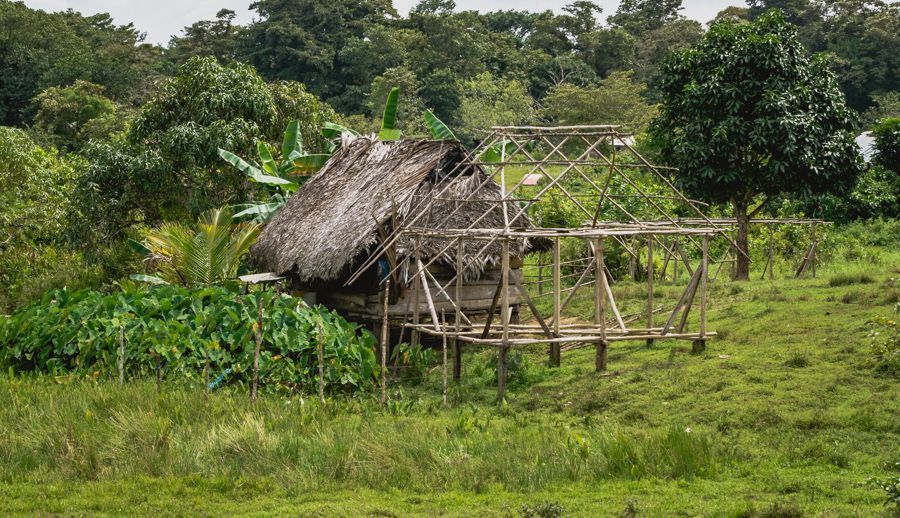 native ngobe village panama