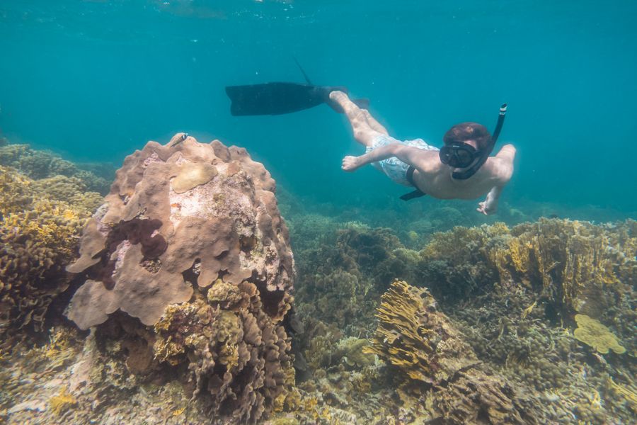 jason inspecting the coral in san blas