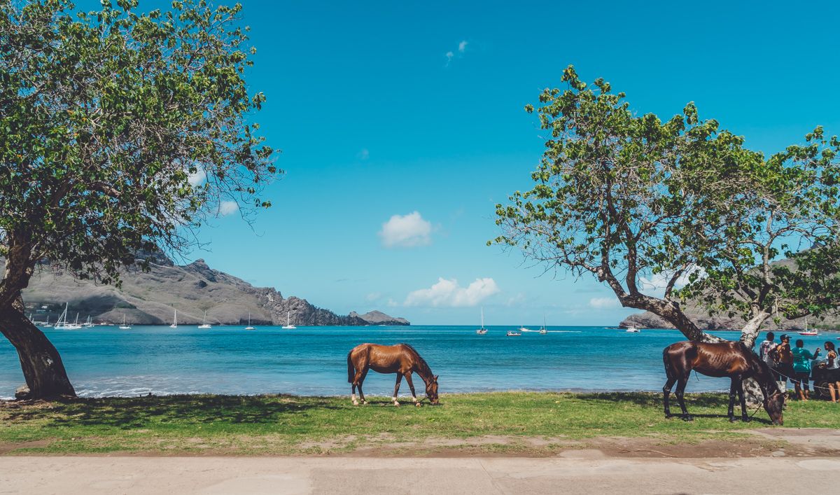 horses are a big part of culture in Nuku Hiva Marquesas
