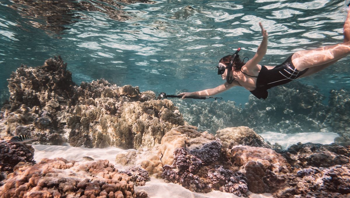Nikki Wynn snorkeling coral garden in moorea french Polynesia