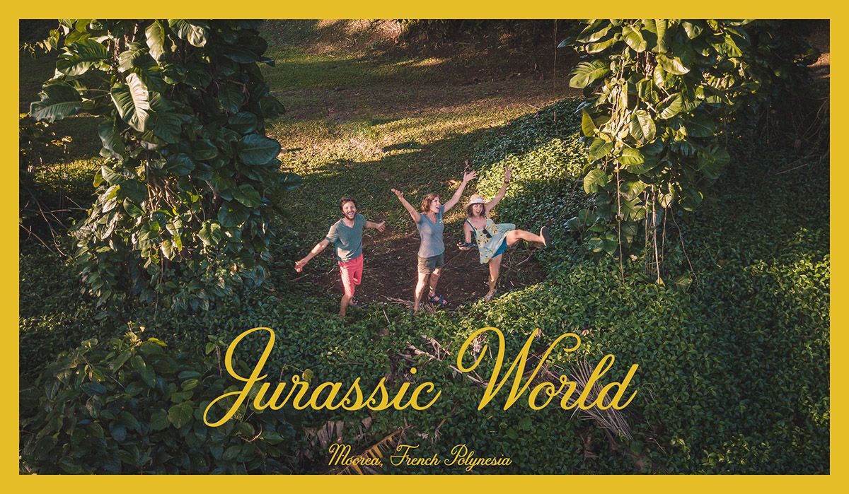 the wynns in the jurassic world of moorea french polynesia