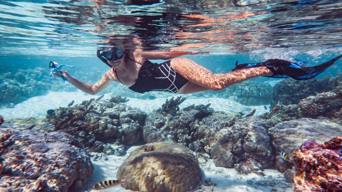 nikki wynn snorkeling tahaa through the coral gardens