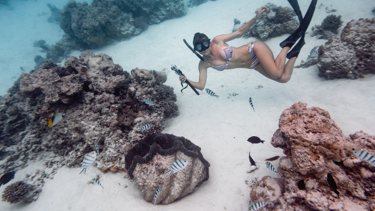 nikki wynn swimming with giant clams aitutaki south pacific