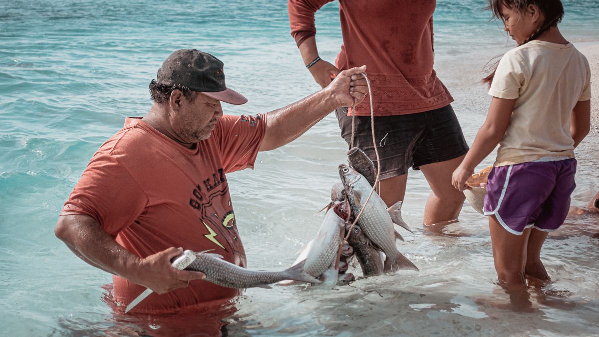 bob cleaning fish on palmerston island, cook islands