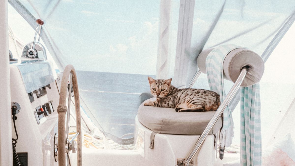 wynns adventure cat sailing the south pacific